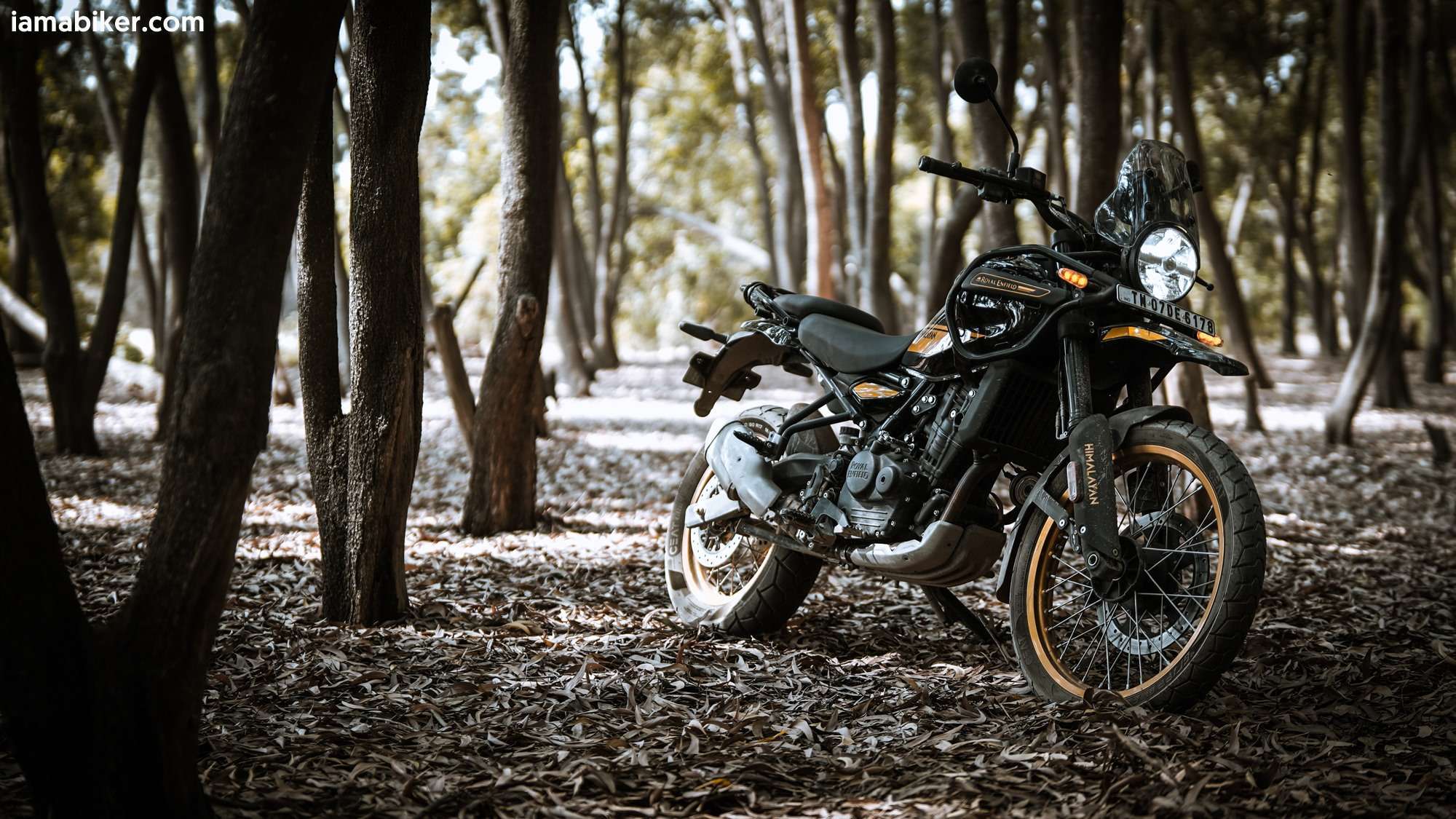 New Himalayan 450 HD wallpapers