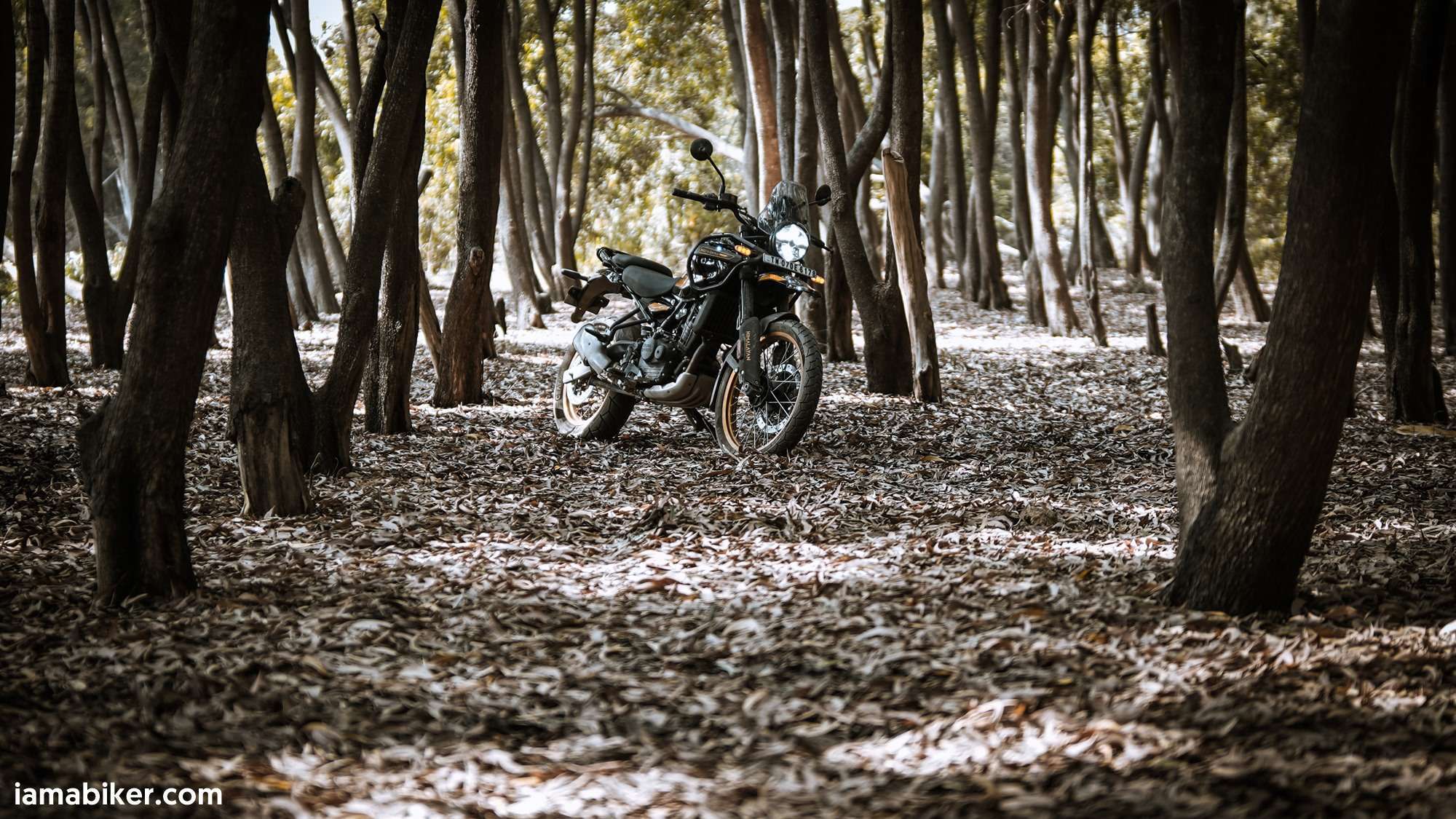 New Himalayan 450 HD wallpapers