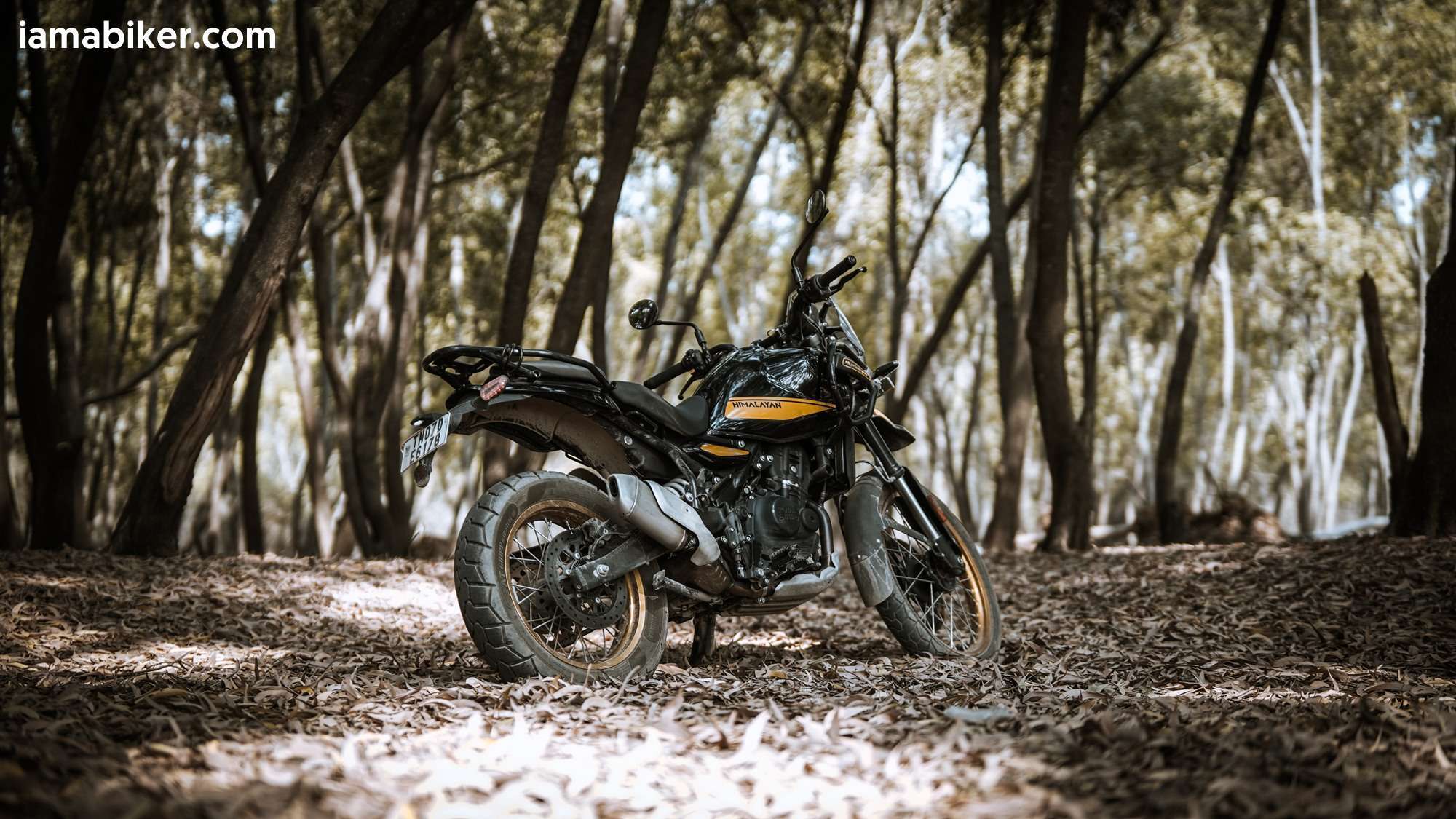 New Himalayan 450 HD wallpapers