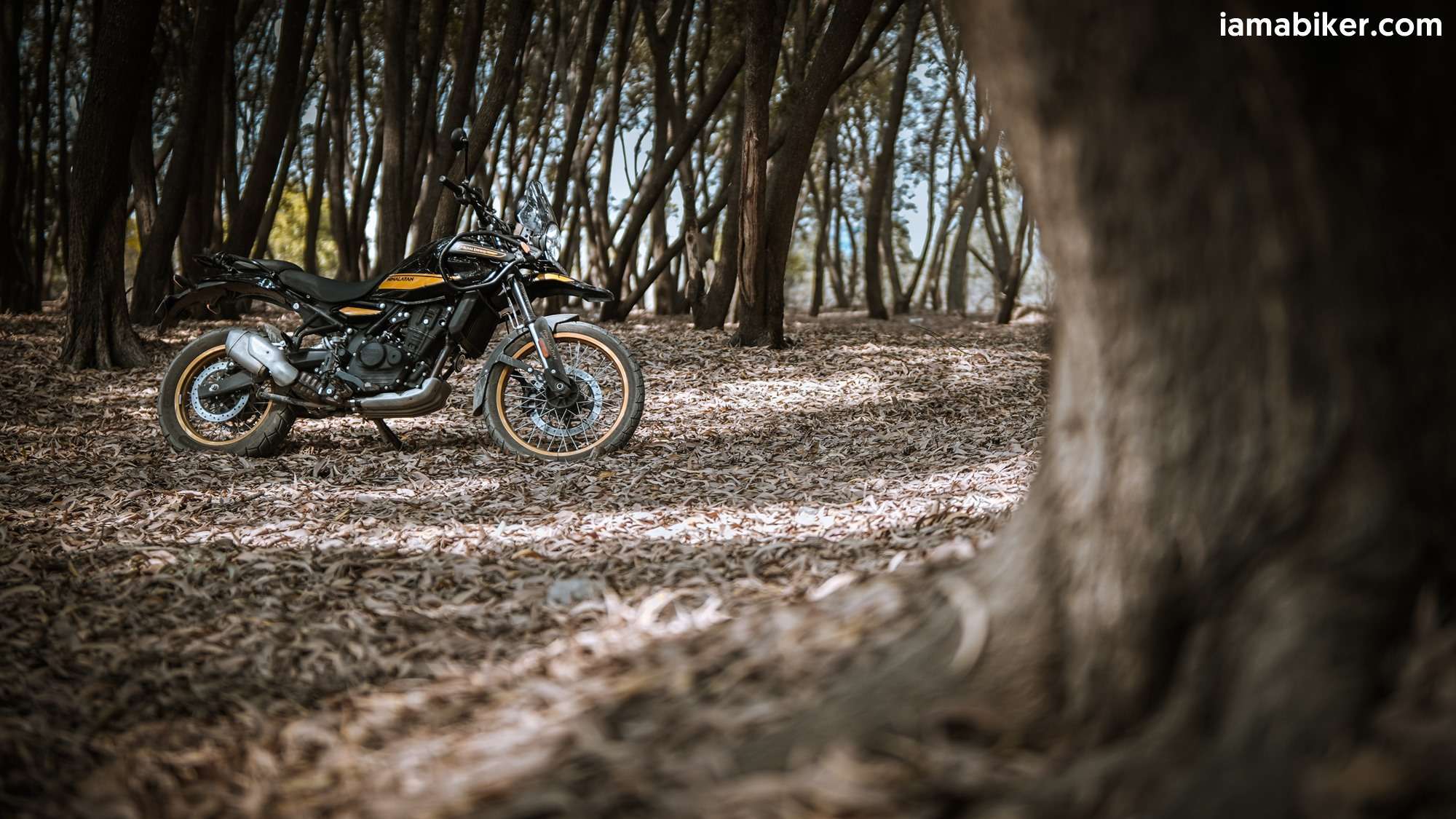 New Himalayan 450 HD wallpapers