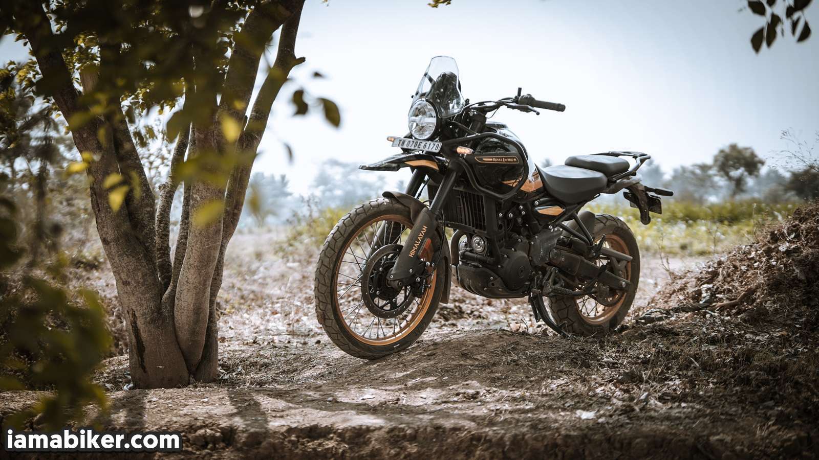New Himalayan 450 detailed review