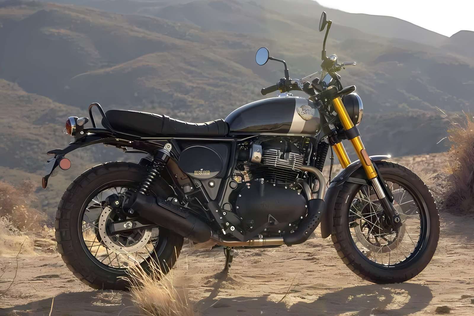 Bear 650