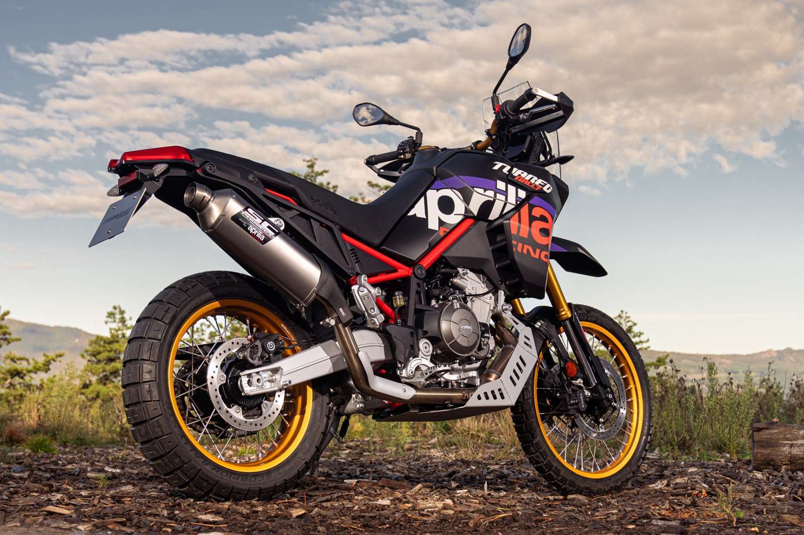 2025 Aprilia Tuareg Rally - back