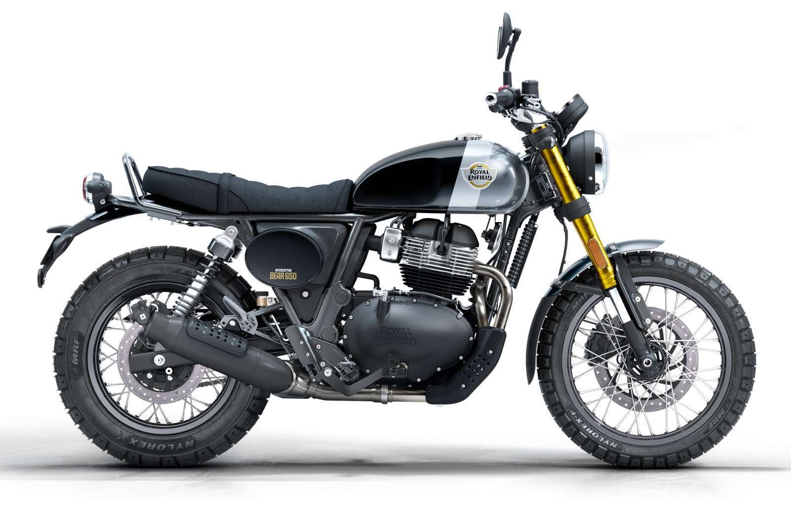 Bear 650 Golden Shadow