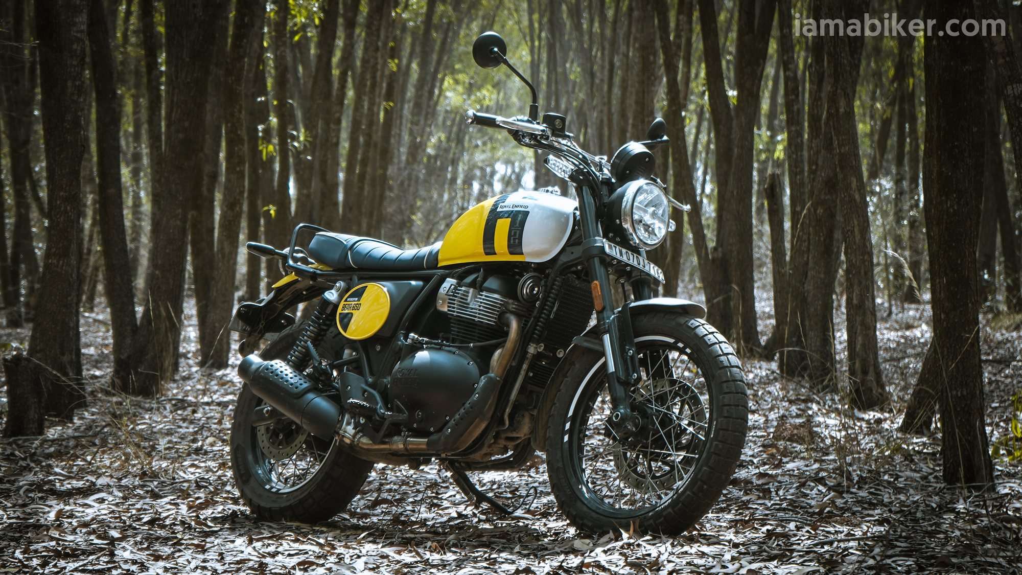 Royal Enfield Bear 650 HD wallpaper
