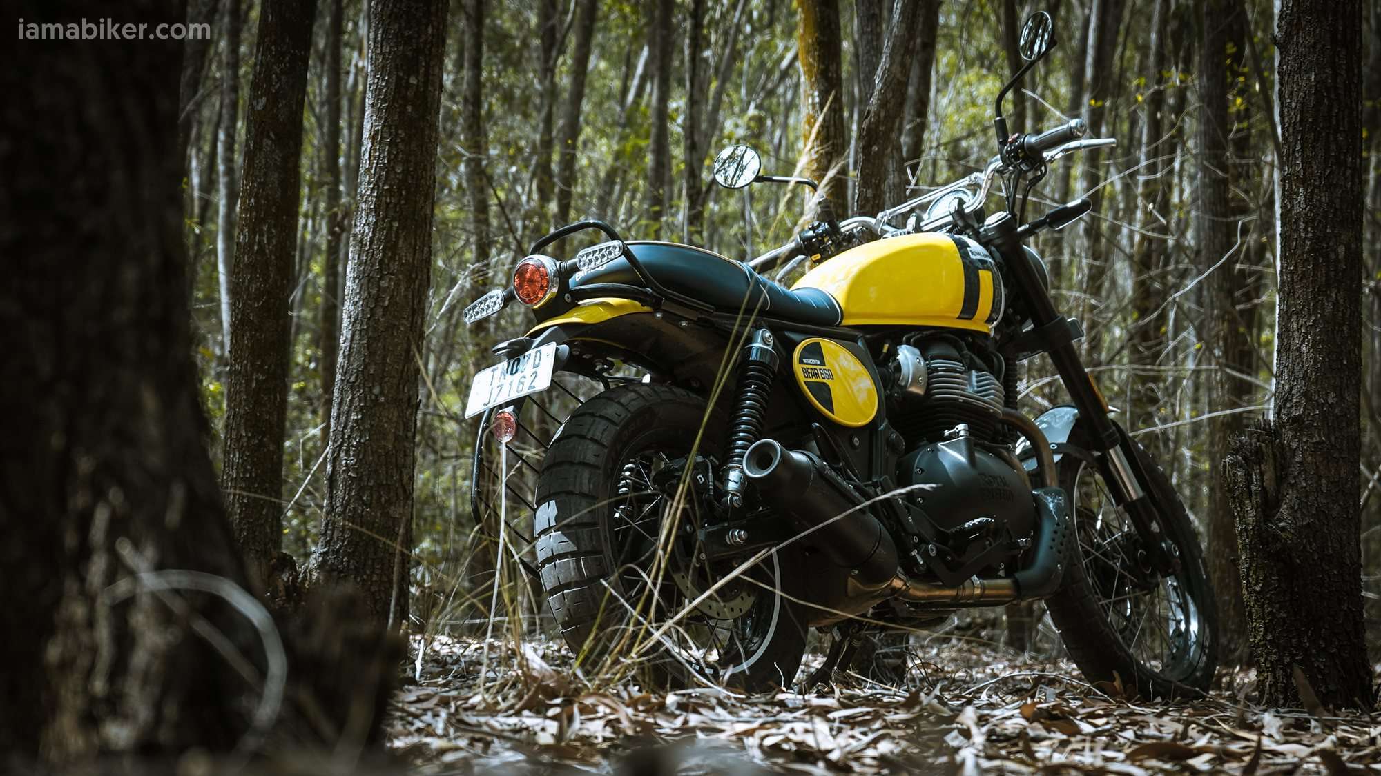 Royal Enfield Bear 650 HD wallpaper
