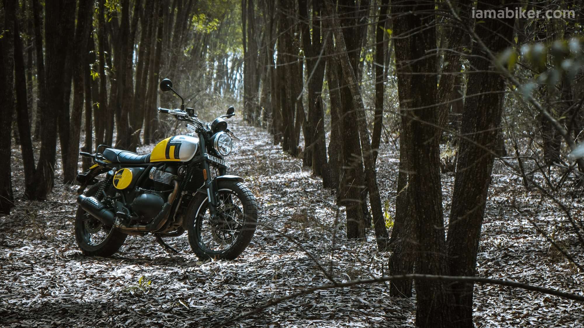 Royal Enfield Bear 650 HD wallpaper