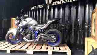 Yamaha MT 25 side view