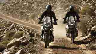 Tiger 900 HD wallpapers