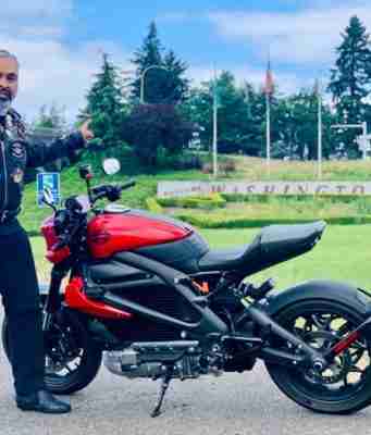 Harley-Davidson LiveWire Roadtrip