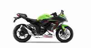2021 Kawasaki Ninja 300 BS6