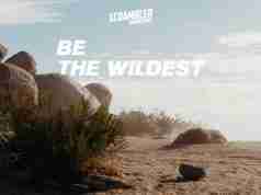 Ducati Scrambler Teaser