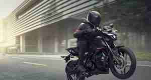 Pulsar N160 wheelie