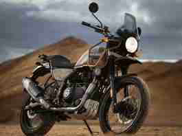 Himalayan Dune Brown colour option