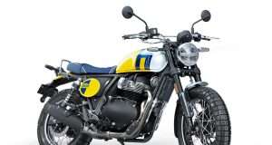 Bear 650 Wild Honey