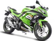 2025 Kawasaki Ninja 300 Lime green