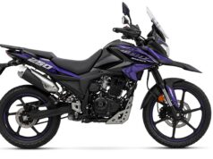 Pulsar 250 Adventure