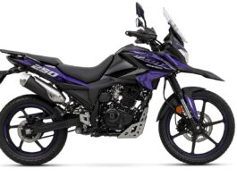 Pulsar 250 Adventure