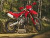 Meet the All-New Ducati Desmo450 EDS Enduro Motorcycle Ducati Desmo450 EDS Enduro Motorcycle hero photo
